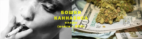 Альфа ПВП Пересвет