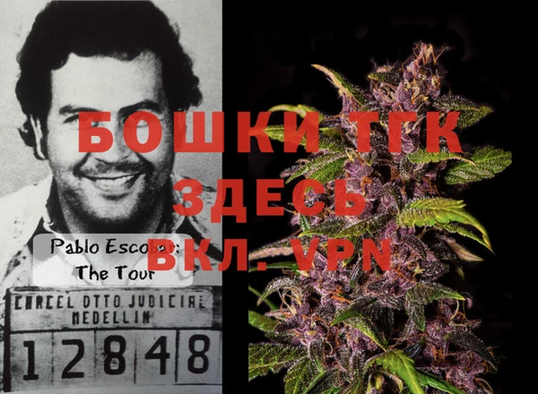 Альфа ПВП Пересвет