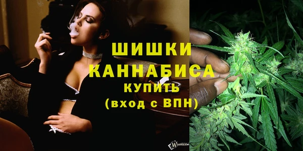Альфа ПВП Пересвет