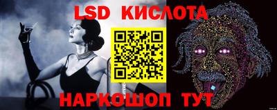 индика Жуковский
