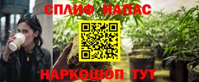 индика Жуковский