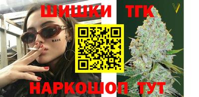 индика Жуковский